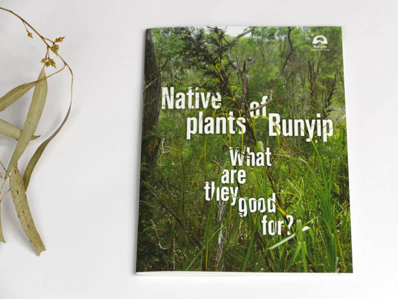 Native Plants of Bunyip – 1st Edition